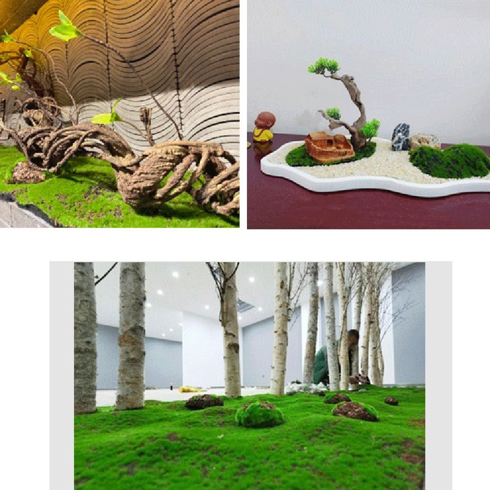 DIY 인조 이끼 잔디 내구성 영구 생명 시뮬레이션 이 - Preserved Moss Sheet 리뷰 및 가격