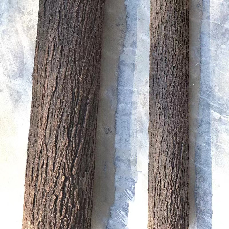 인공 나무 부드러운 고무 나무 껍질, 실내 수도관 와인 - Preserved Moss Sheet 리뷰 및 가격