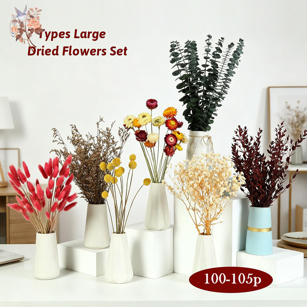 다양한 종류의 드라이 플라워 7종 세트, 자연스러운 유 - Florist Supply Bulk 리뷰 및 가격