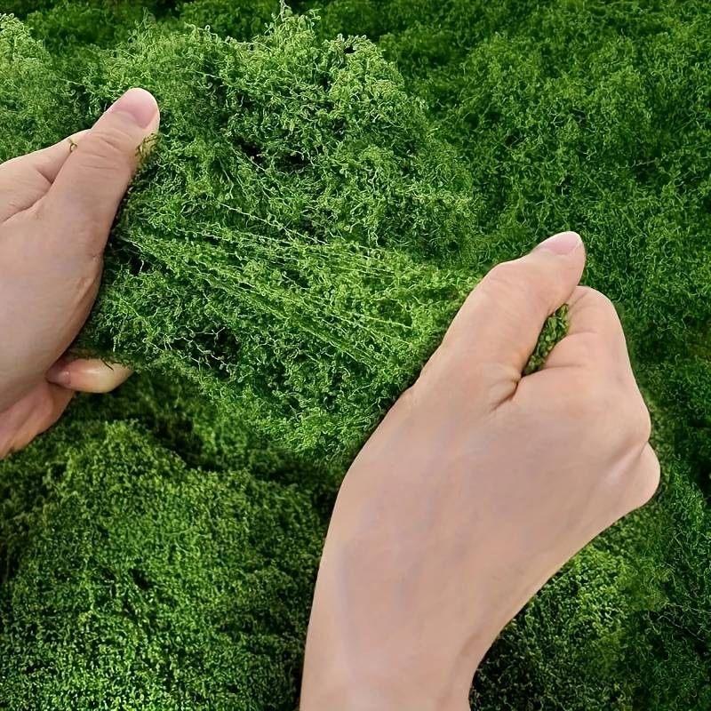 20' X 20' 인조 이끼 매트, 실내 식물용, 화분 - Preserved Moss Sheet 리뷰 및 가격