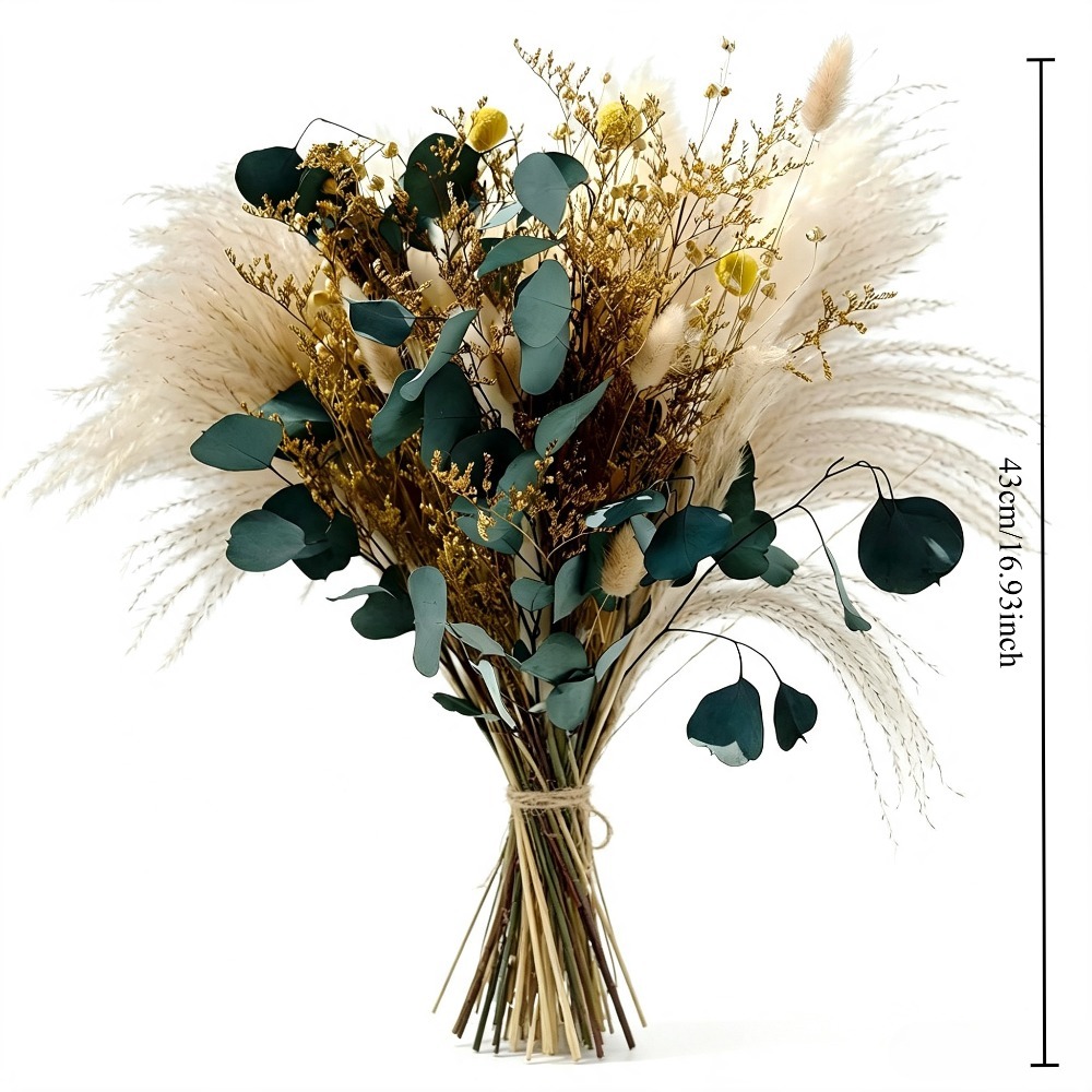 자연 건조 팜파스 그래스 부케, 보존된 유칼립투스 잎, - Eucalyptus Preserved 리뷰 및 가격