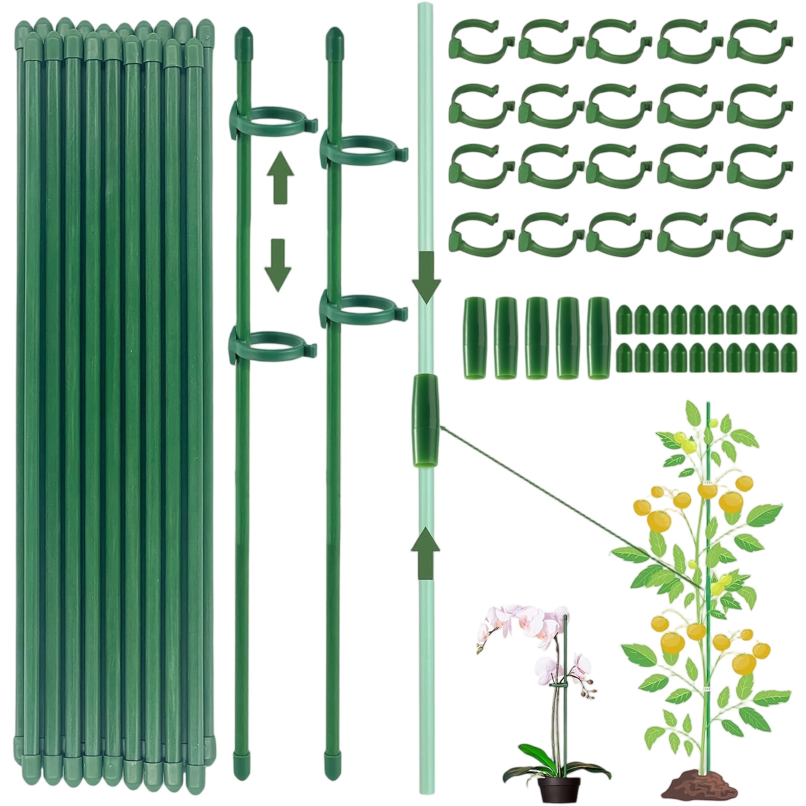 식물 지지대 단일 줄기 관목 홀더 정원 말뚝 꽃 채소  - Florist Supply Bulk 리뷰 및 가격