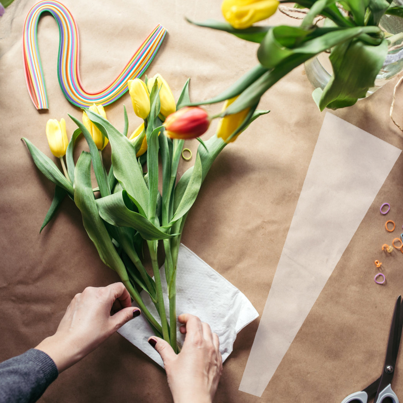 50개입, 찢김 방지 셀로판 꽃 포장용 비닐 봉투, 꽃 - Florist Flower Supply 리뷰 및 가격