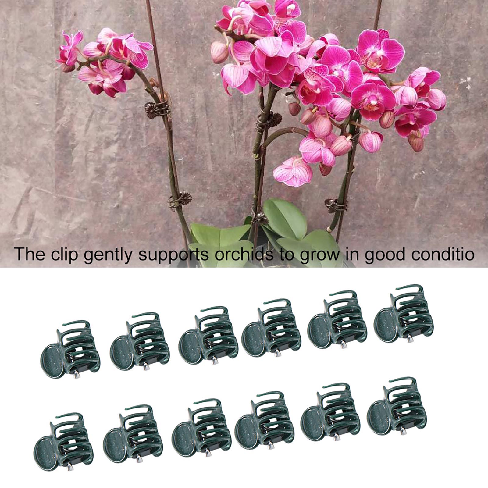 미니 식물 클립 정원 꽃 식물 지지대, 난초 데이지 줄 - Florist Supply Bulk 리뷰 및 가격