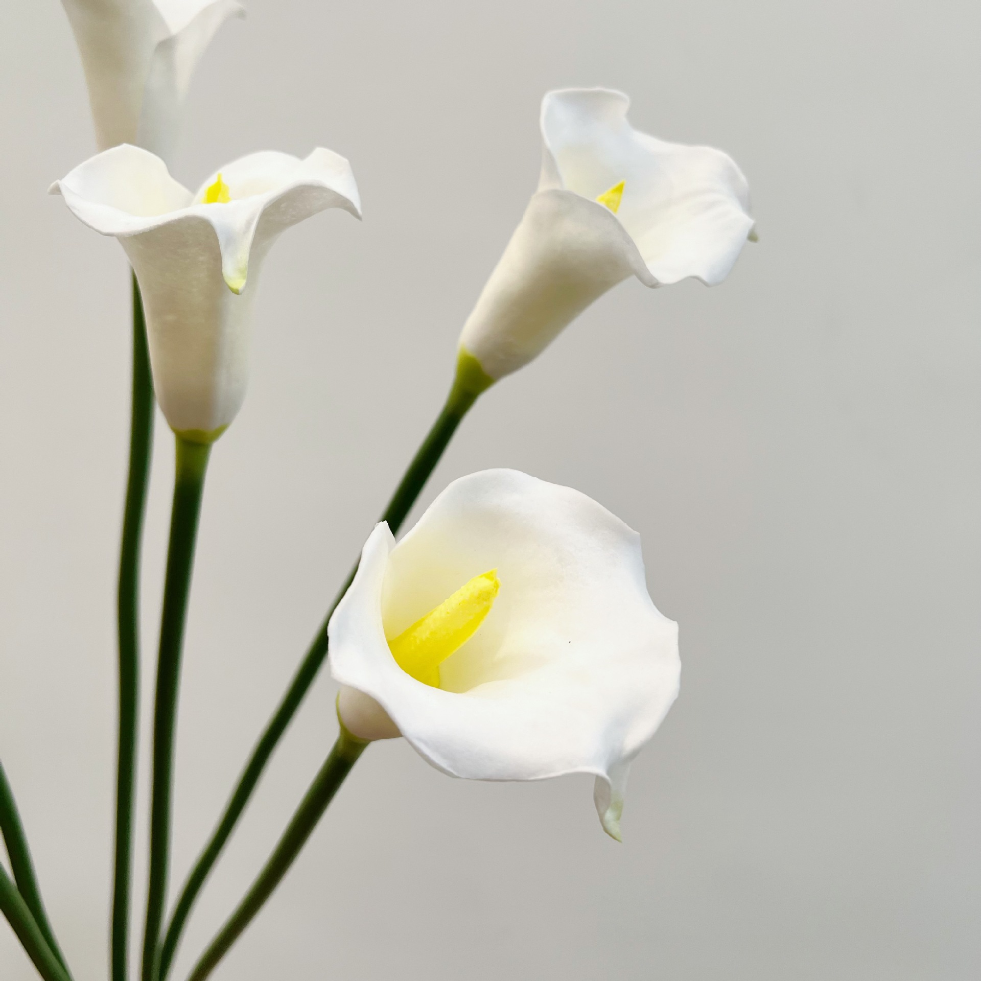 26인치 싱글 스템 크레센트 칼라 릴리 인조 꽃 웨딩  - Florist Supply Bulk 리뷰 및 가격