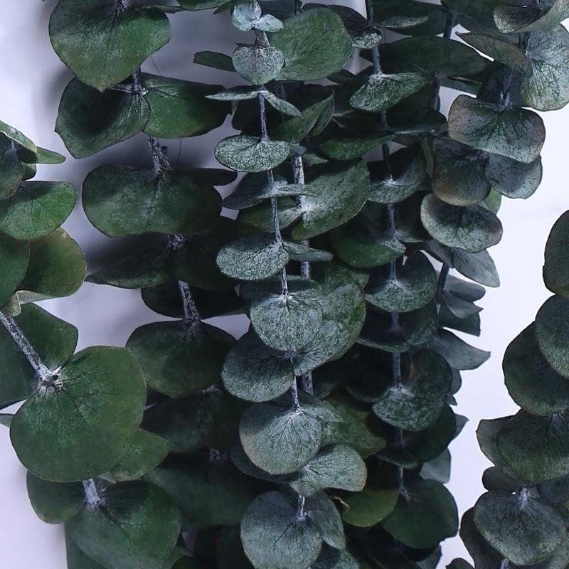 신선한 유칼립투스 가지에 보존 된 20Pcs 말린 줄기 - Eucalyptus Preserved 리뷰 및 가격