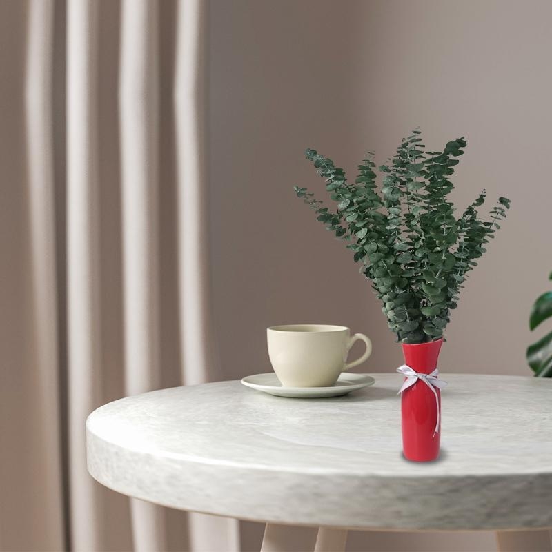 신선한 유칼립투스 가지에 보존 된 20Pcs 말린 줄기 - Eucalyptus Preserved 리뷰 및 가격