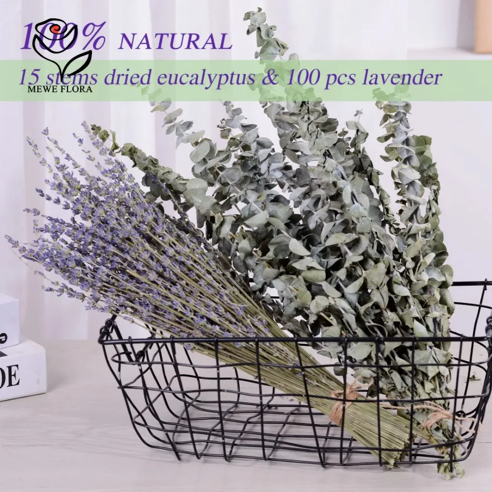 유칼립투스 잎 보존 건조 꽃, 홈 거실 장식, 인공 식 - Eucalyptus Preserved 리뷰 및 가격