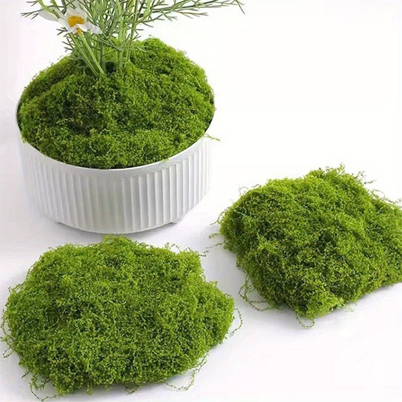 가짜 녹색 이끼 DIY 공예 인공 잔디, 인조 보존 이 - Preserved Moss Sheet 리뷰 및 가격