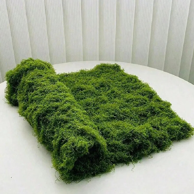 미니어처 조경 장식용 인조 이끼, 잔디밭 이끼, 분재, - Preserved Moss Sheet 리뷰 및 가격